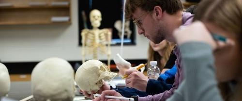 students examining a skeleton in forensic anthropology class